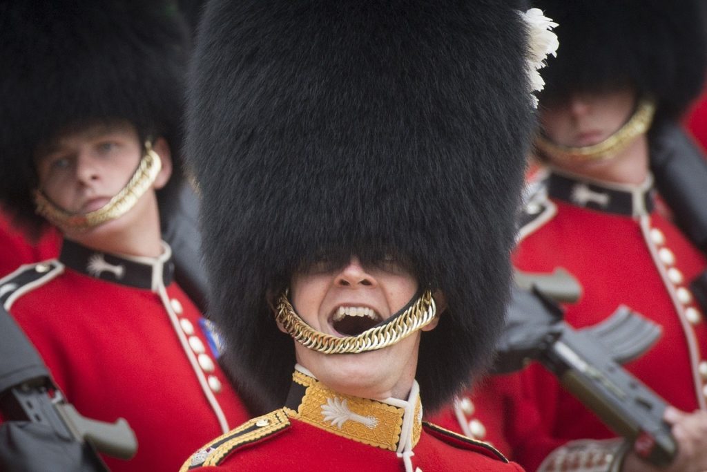 Welsh Guard, Tours of the UK, Public Sightseeing Walking Tour of Central London, Whitehall, & Westminster